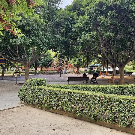 Ciencias G * Valencia